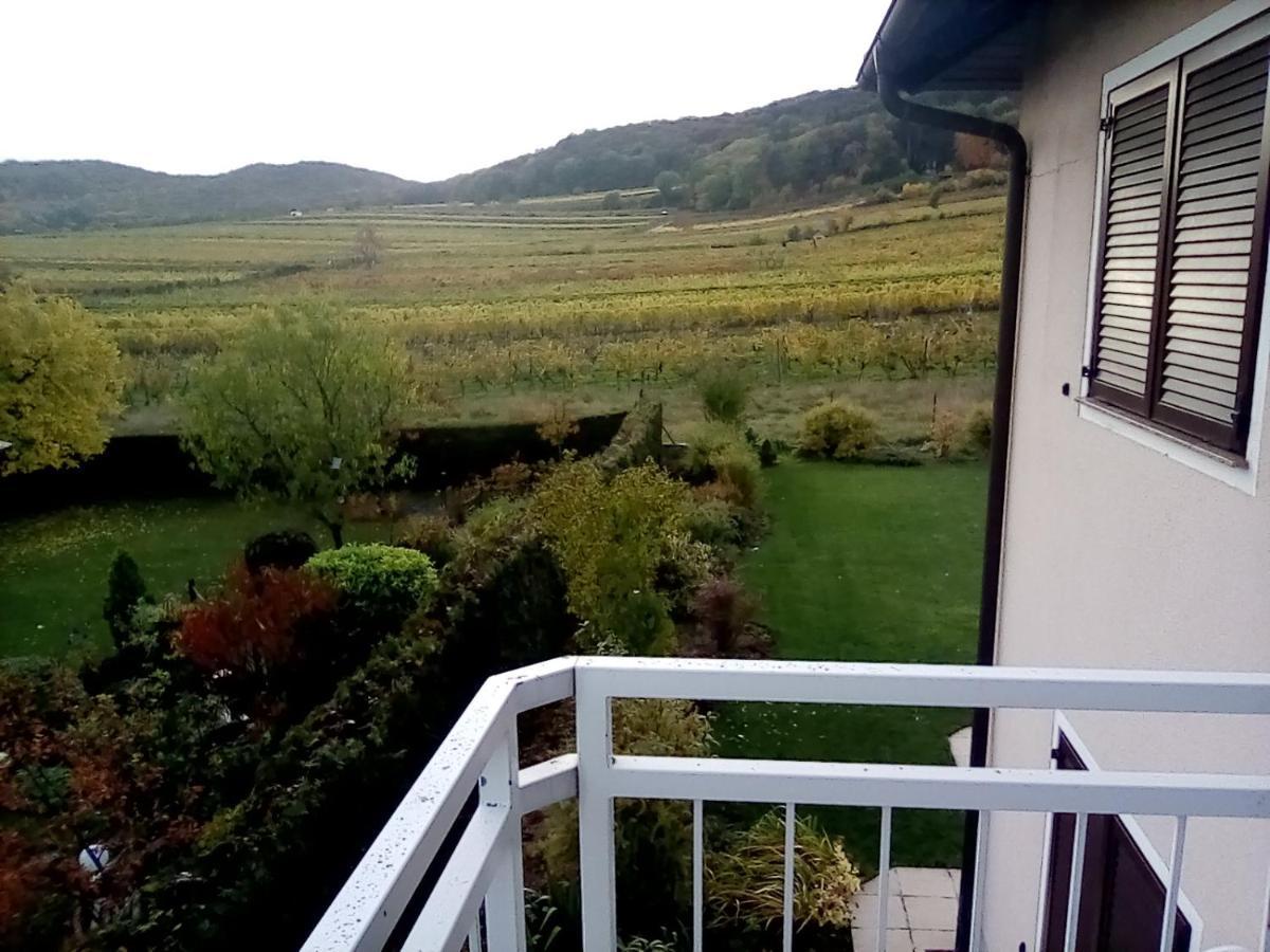 شقة Top Over Vienna, Perchtoldsdorf Weinberge Ideal With Car المظهر الخارجي الصورة