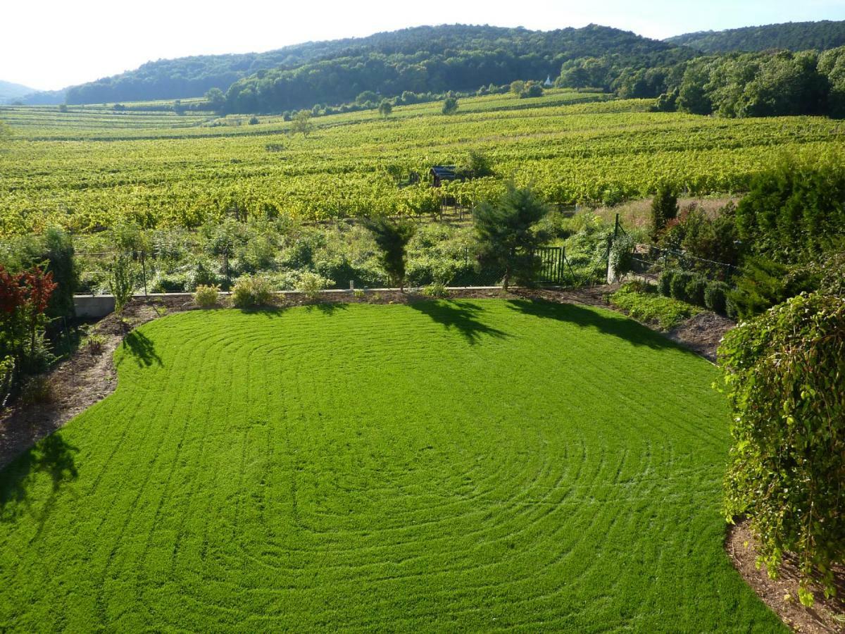شقة Top Over Vienna, Perchtoldsdorf Weinberge Ideal With Car المظهر الخارجي الصورة
