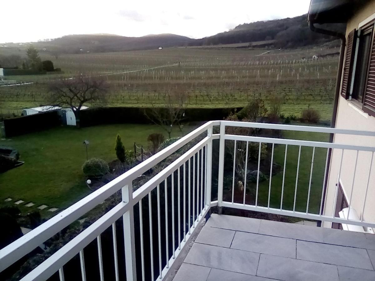 شقة Top Over Vienna, Perchtoldsdorf Weinberge Ideal With Car المظهر الخارجي الصورة
